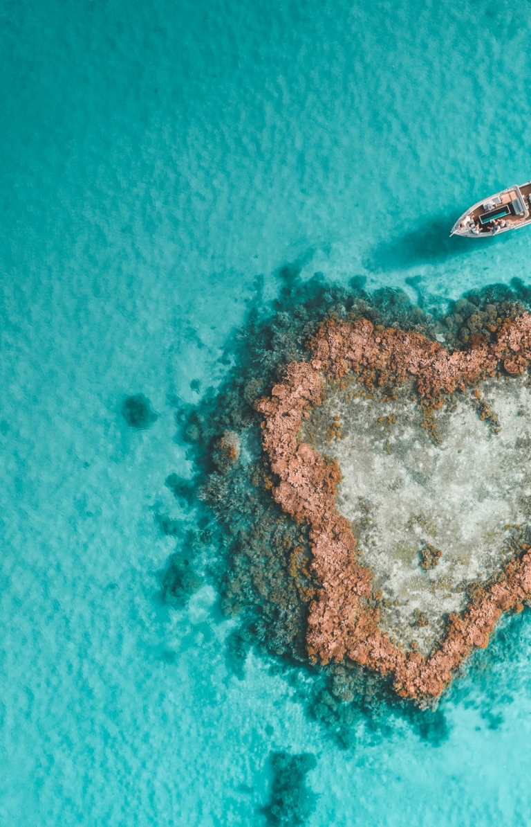 Aerial view of heart reef, Whitsundays, Queensland © Saltywings