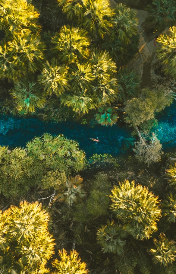 Bird's eye view of Bitter Springs, Northern Territory © Tourism NT/Mitch Cox